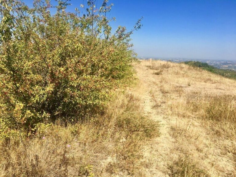 CASSINASCO – 360 degrees views